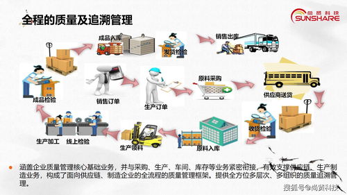 食品行业转型数字化管理的重点方向与财务管理咨询